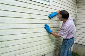 Best Fiber Cement Siding Installation  in Occidental, CA